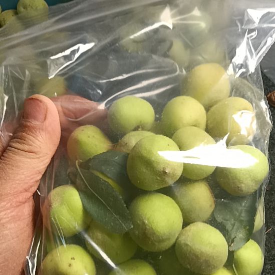 苦***来手串桃核小桃核龙纹桃核穿手串