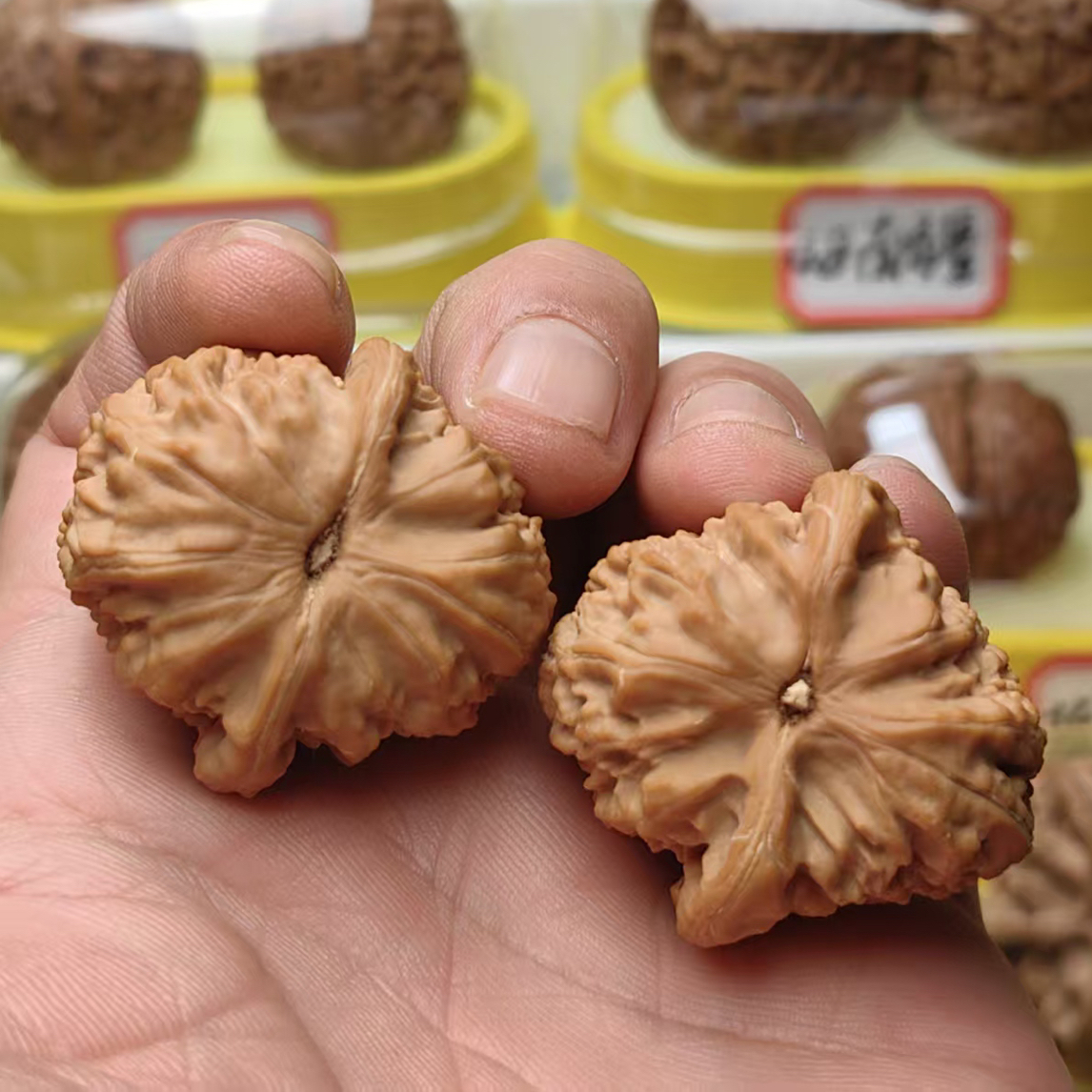 文玩核桃 35全品延庆白狮子，编号1632