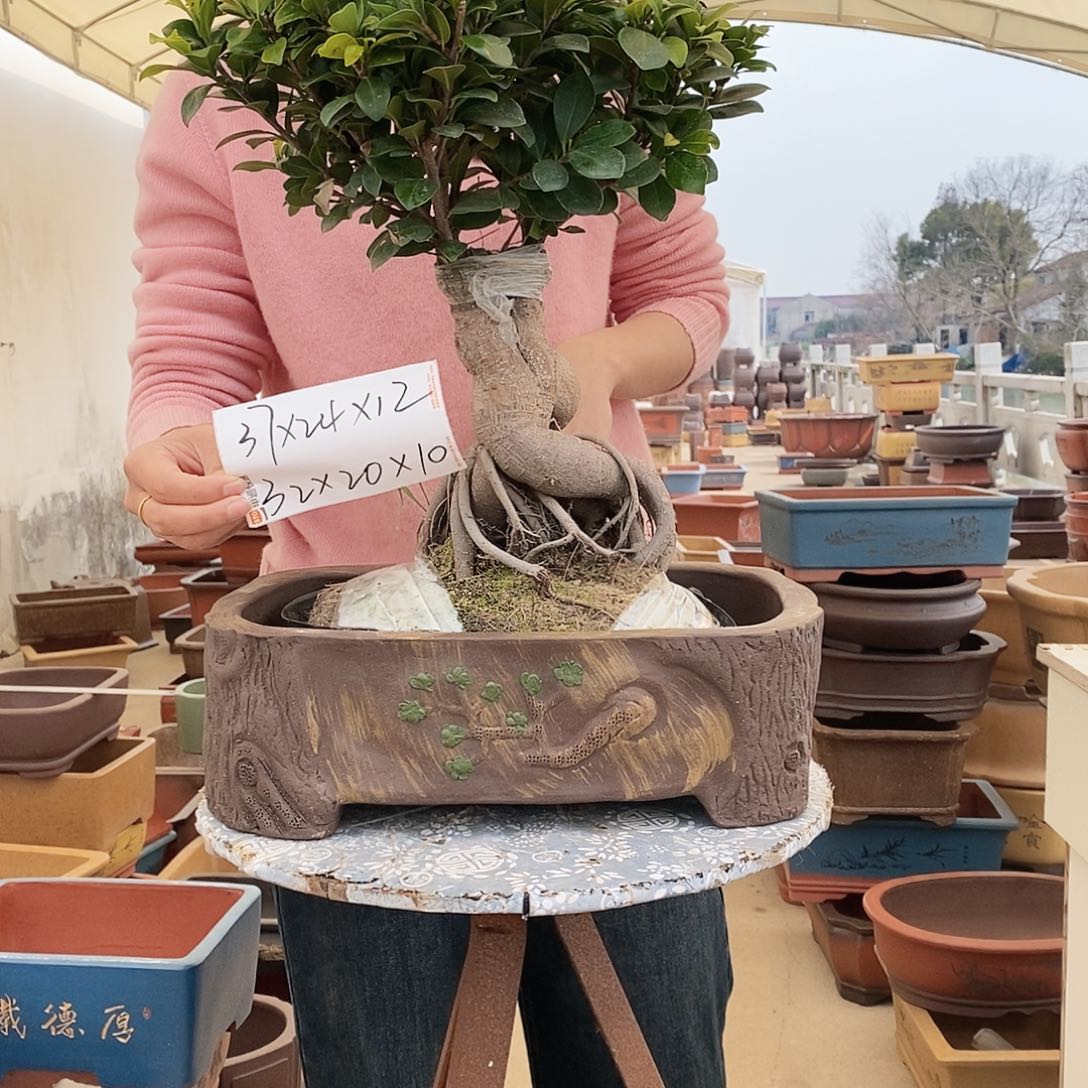 紫砂花盆紫砂花盆