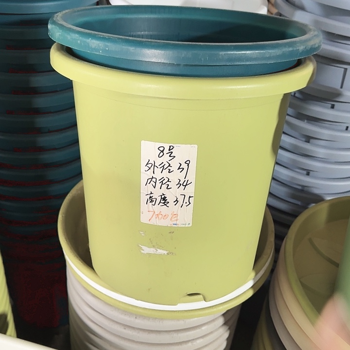 四季8#果绿5个无托口径39