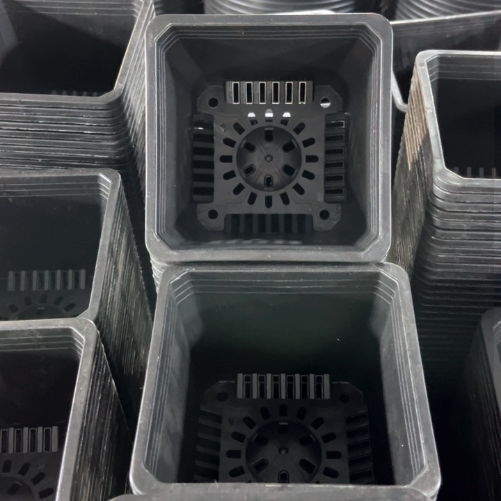 红陶黑方口11高8一组30