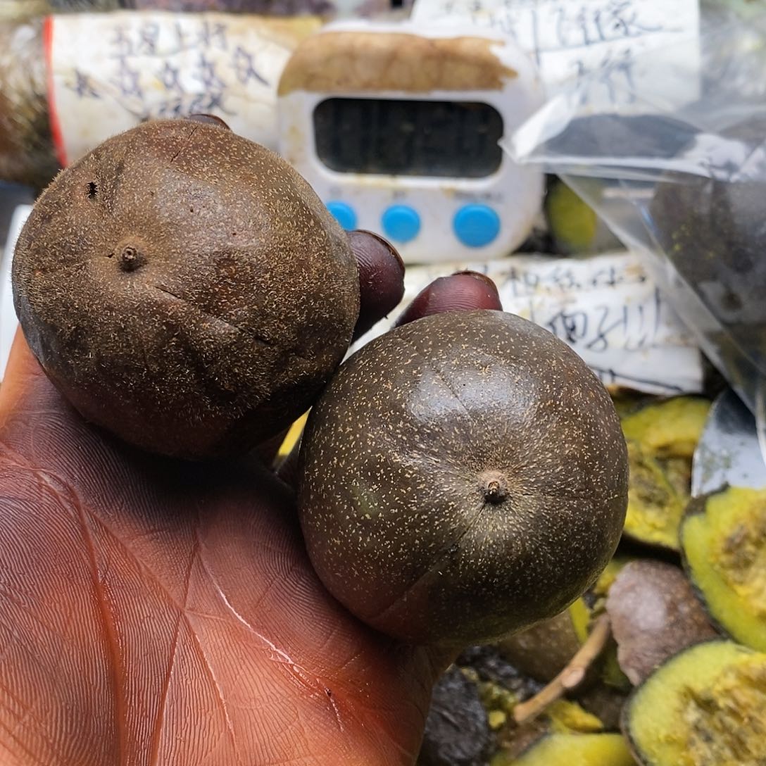 小****出黑板报恍恍惚惚