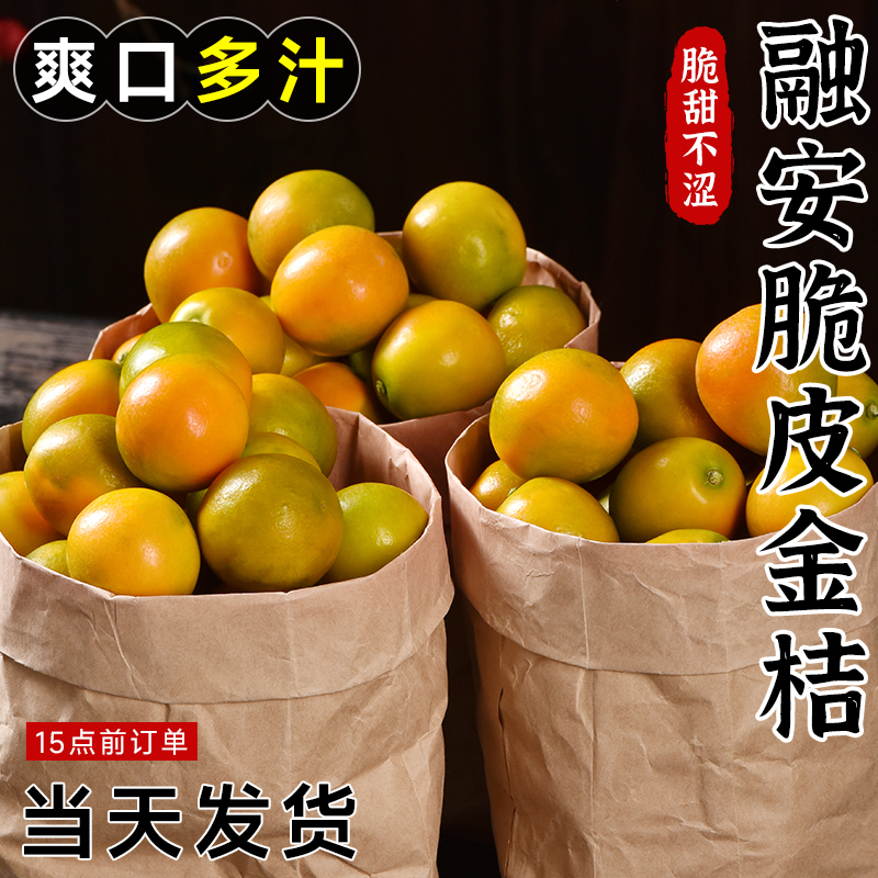 正宗融安脆蜜金柑100整箱现摘新鲜水果甜桔子整箱包邮非糖聚金桔
