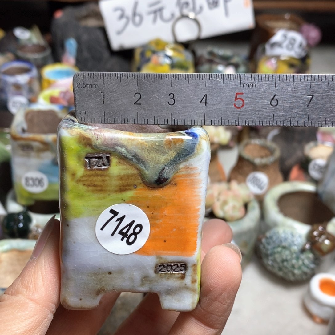 拍3送一个小礼物