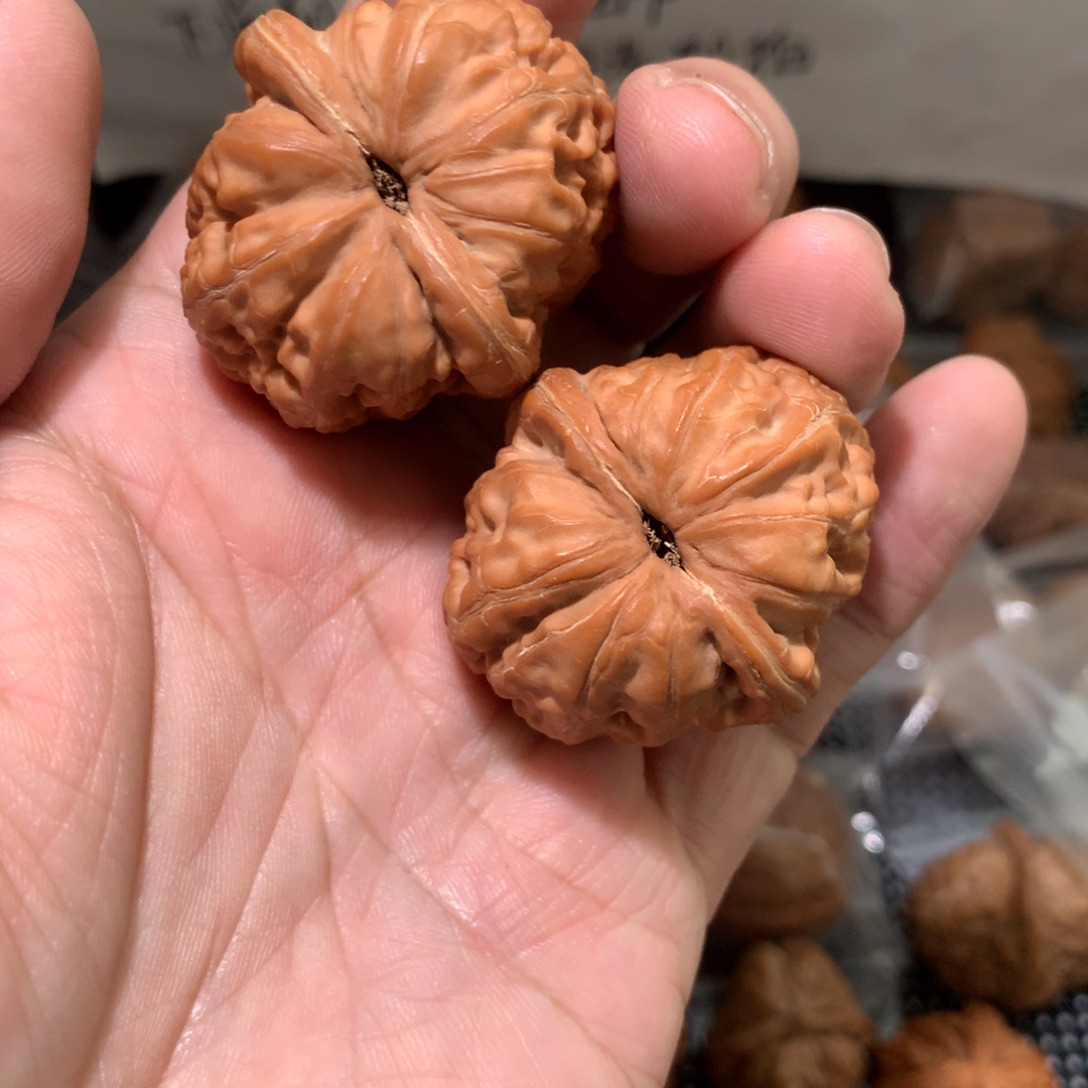 钱****文玩核桃把件钱哥专拍元宝