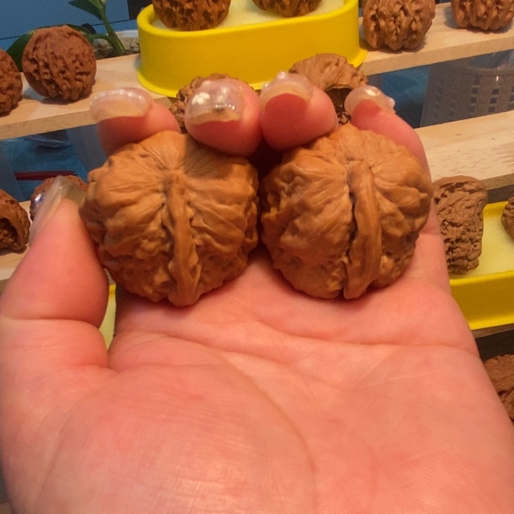 官方网站发布信息说