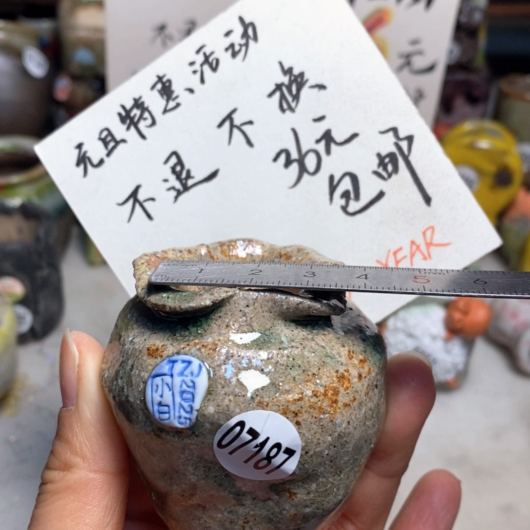 元旦特价花盆不退不换的原价48元