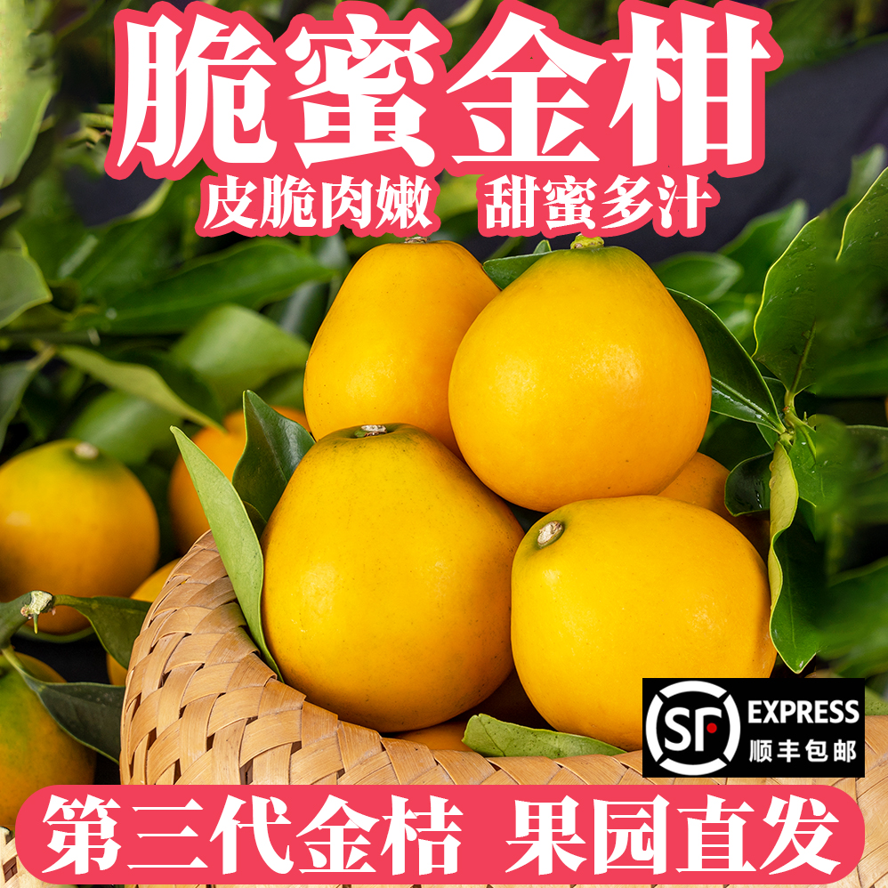 广西【融安第三代脆蜜金桔】新鲜采摘顺丰直发