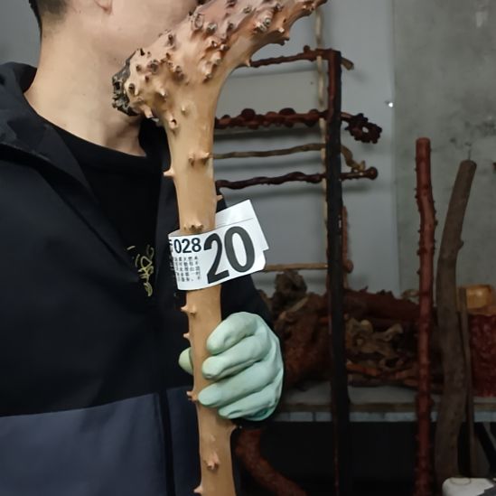 奥***鑫香榧木高山 檬子木文玩料