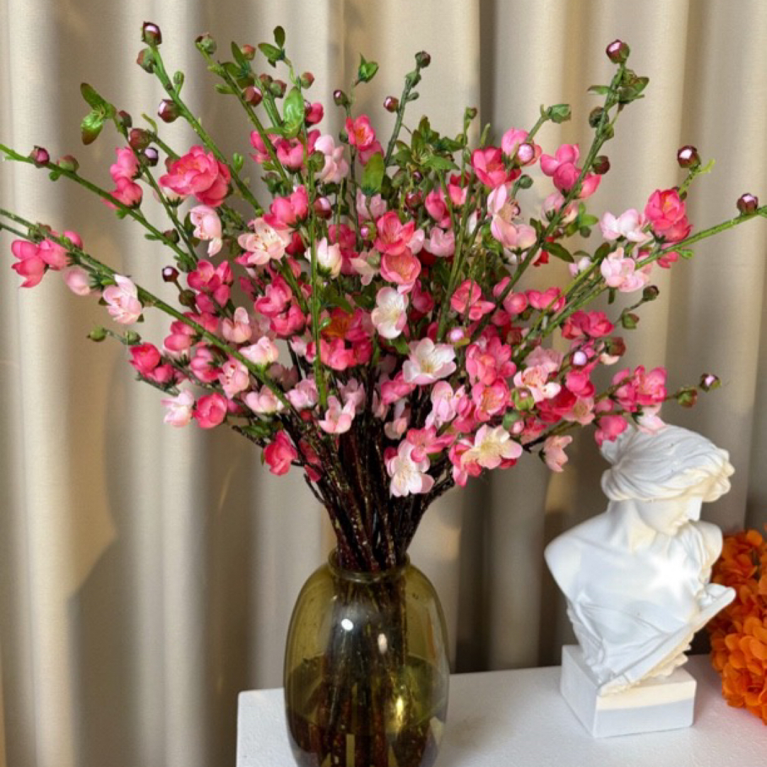 【水培鲜花枝】遇水开花鲜枝浓香型带花苞室内耐寒花卉绿植冬季