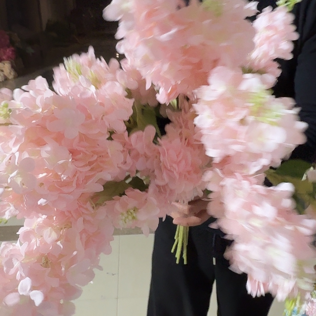 三头粉色紫罗兰10支装