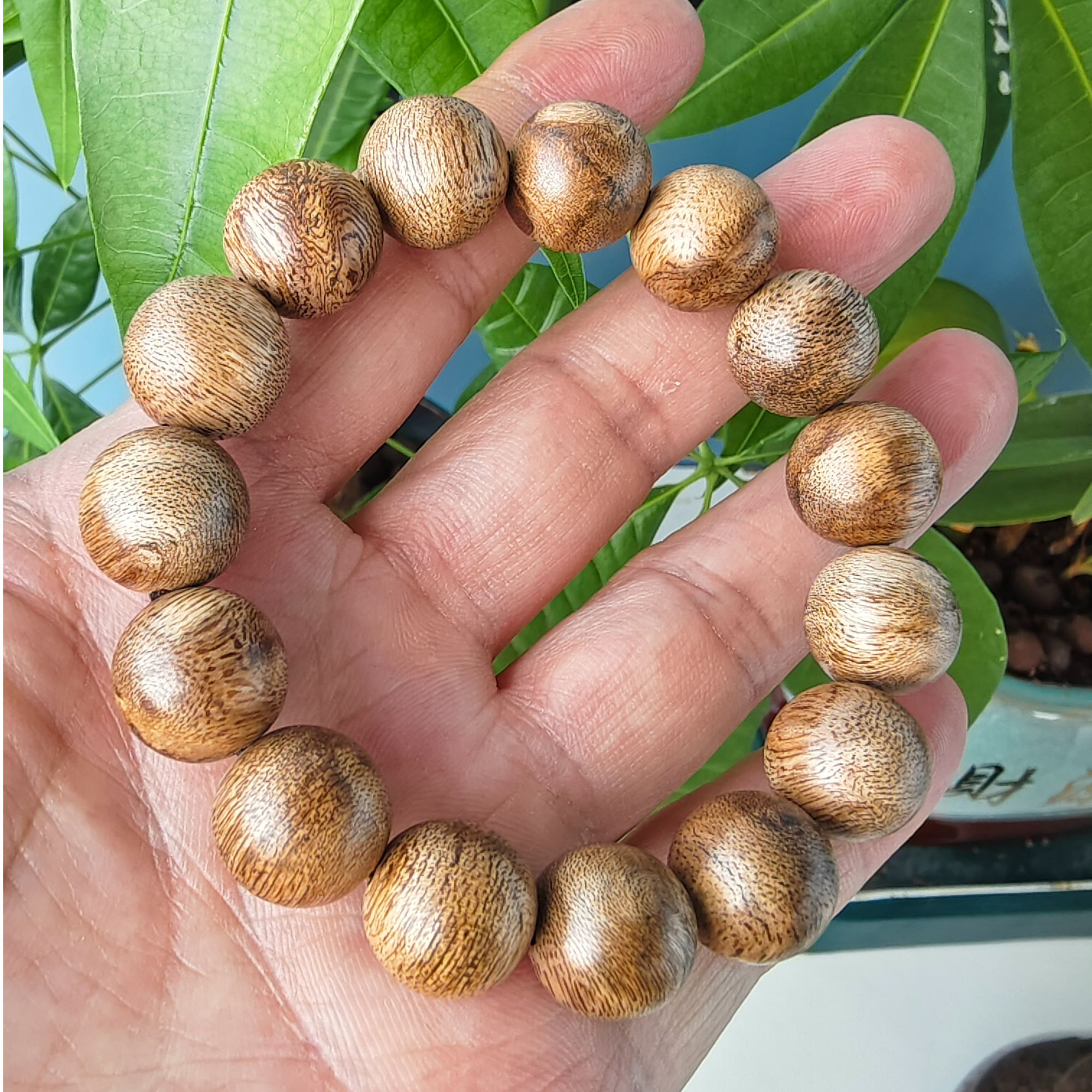 小也木作/卡1.4黄油格单圈圆珠（多样性发其中一条）