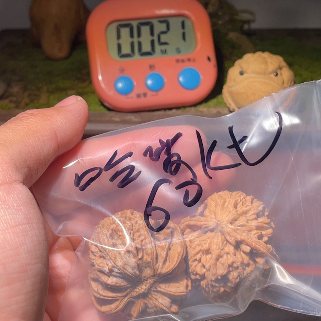 文玩核桃把件哈**t599599598559