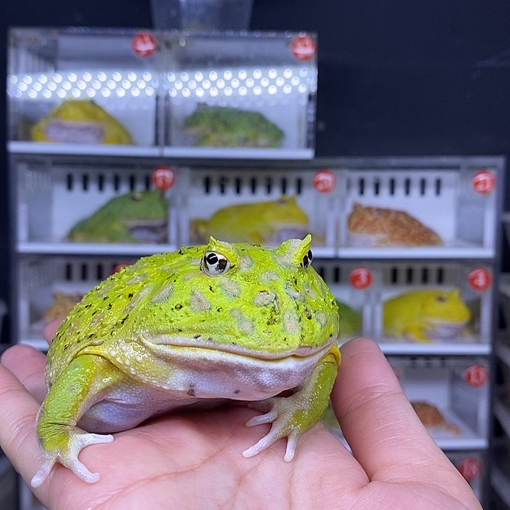 特价秒杀现货供应