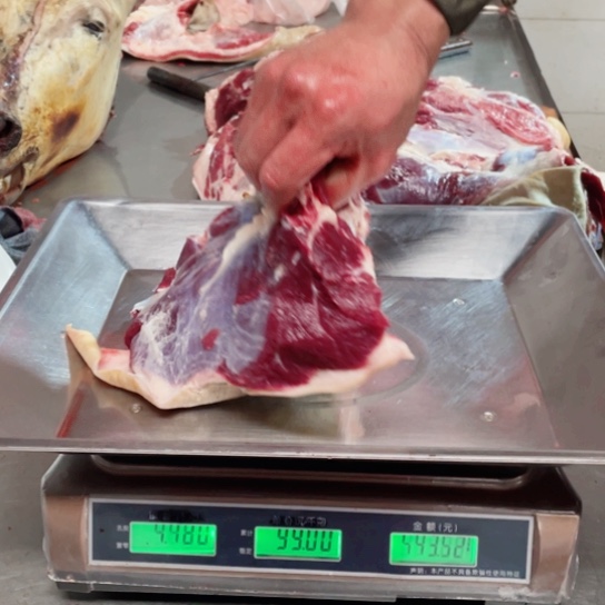 【闪购商品】冷冻保存30天包装河北省