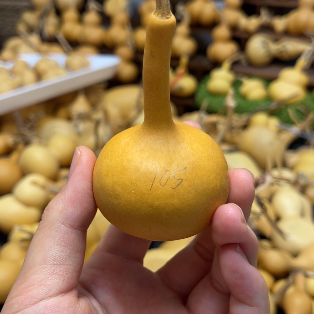 闪拍葫芦链接-105号品