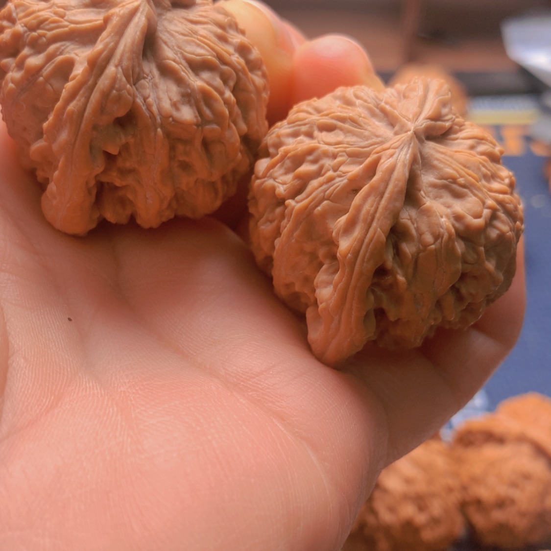 【闪购商品】把件文玩核桃好**品白狮子40