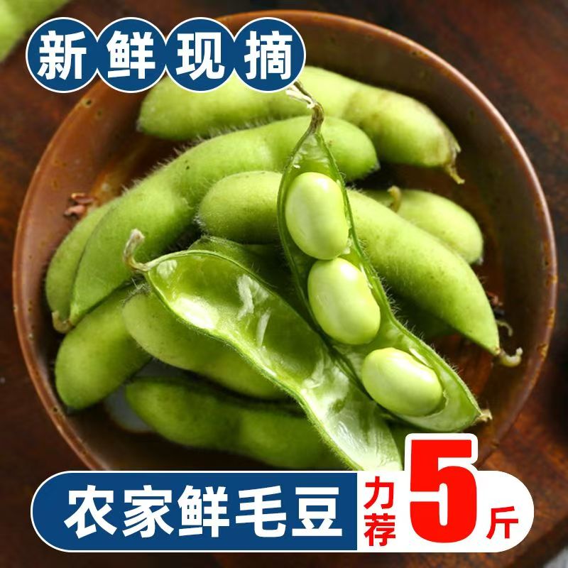 江西农家新鲜毛豆自种毛豆夹带壳现摘生毛豆嫩毛豆凉拌农村蔬菜