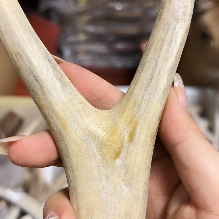 丹***帅香榧木木雕款鹿角