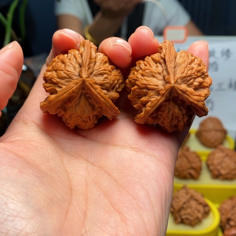 【闪购商品】把件桃核用****17号三棱，