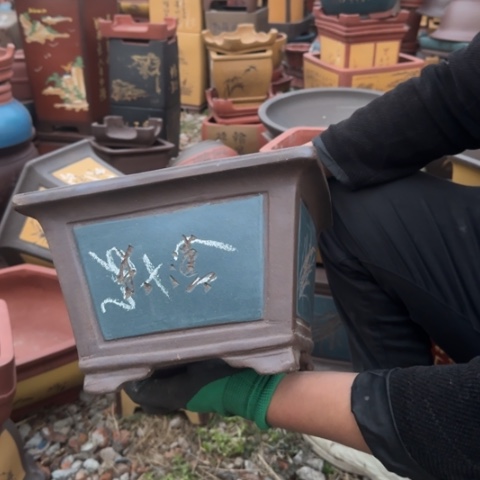 红陶紫砂花盆盆景盆景栽