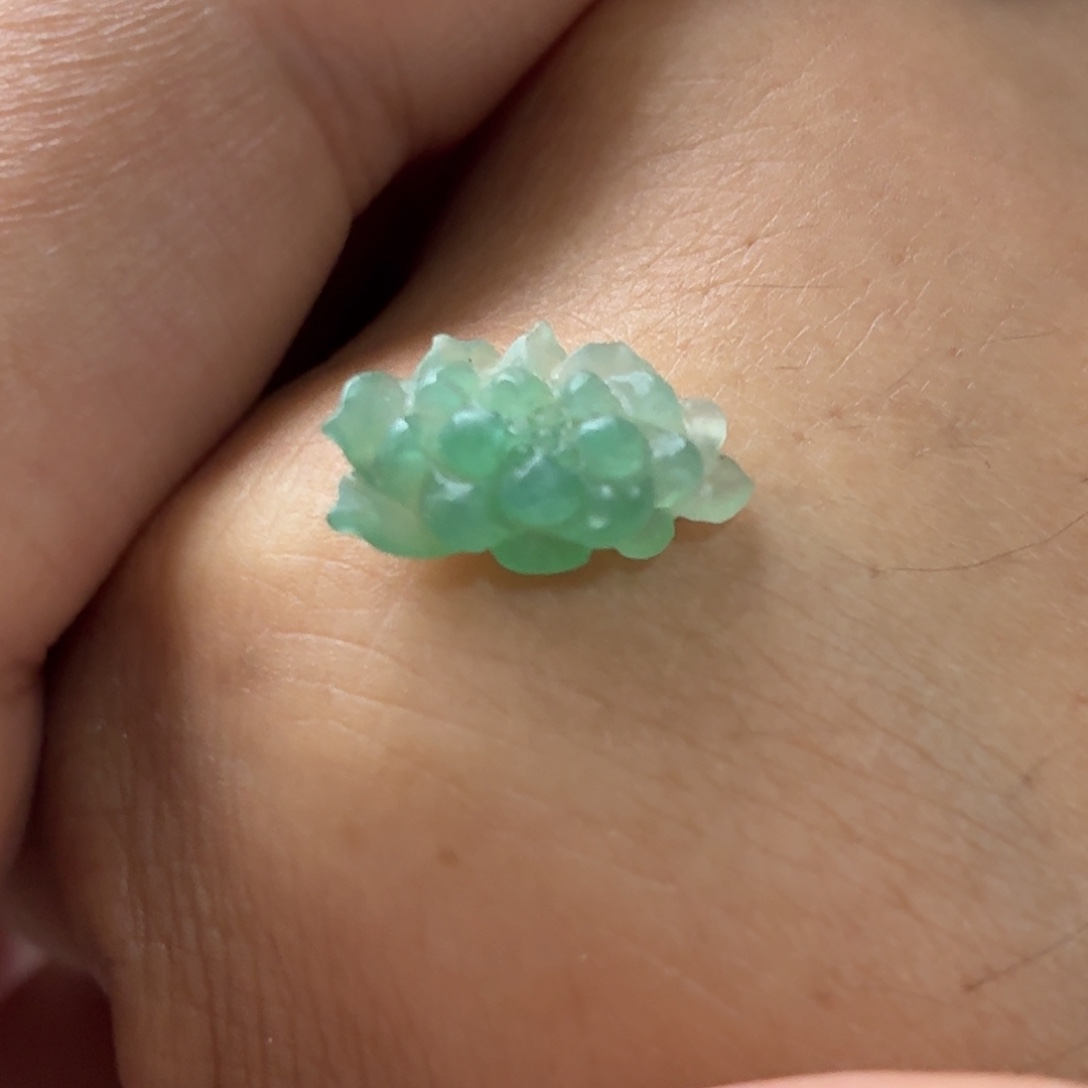 定制翡翠未镶嵌莲花