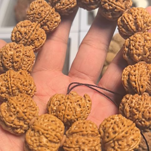 金刚菩提手串七瓣大金刚手串，原皮原色，深度清理