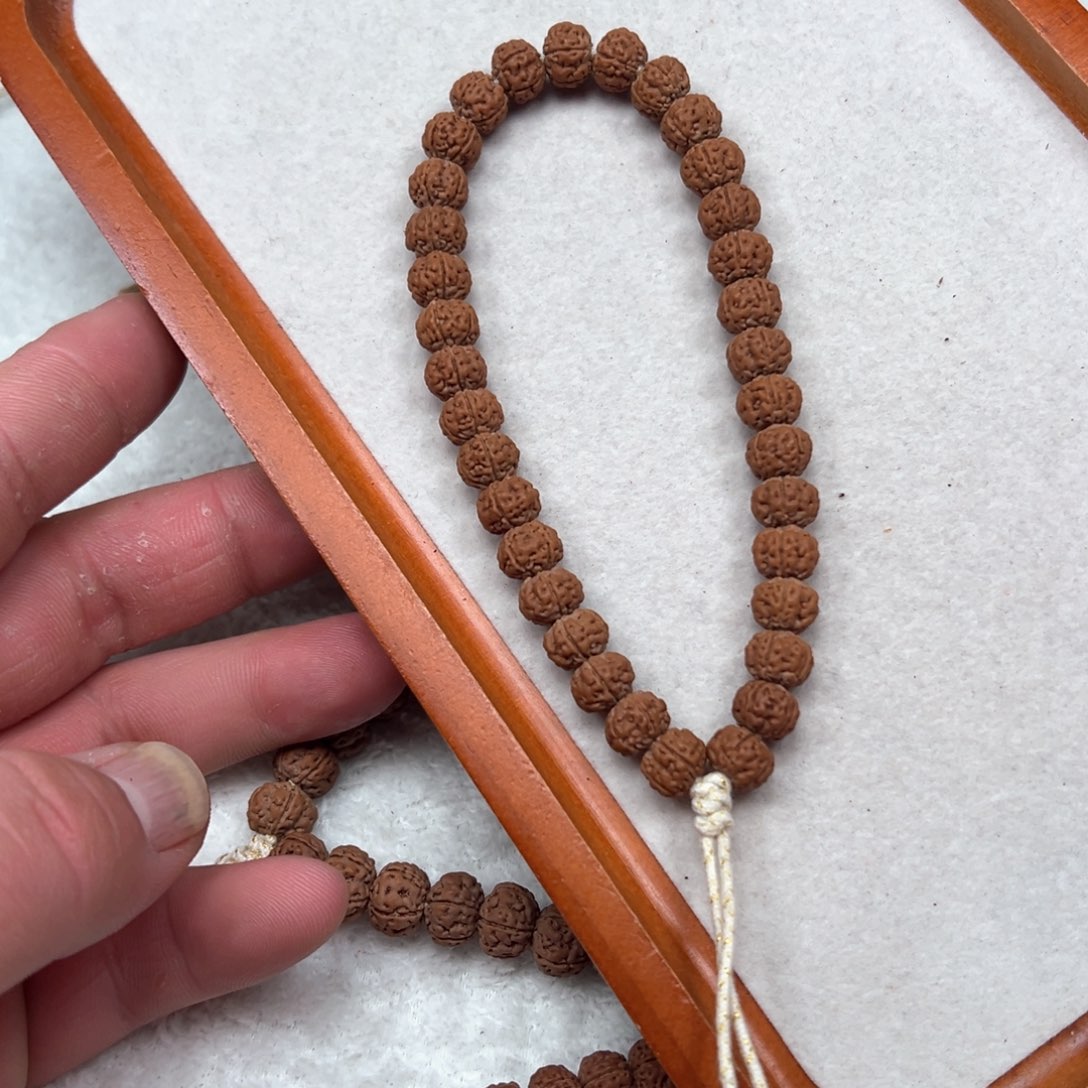 金刚菩提手串小**学金刚