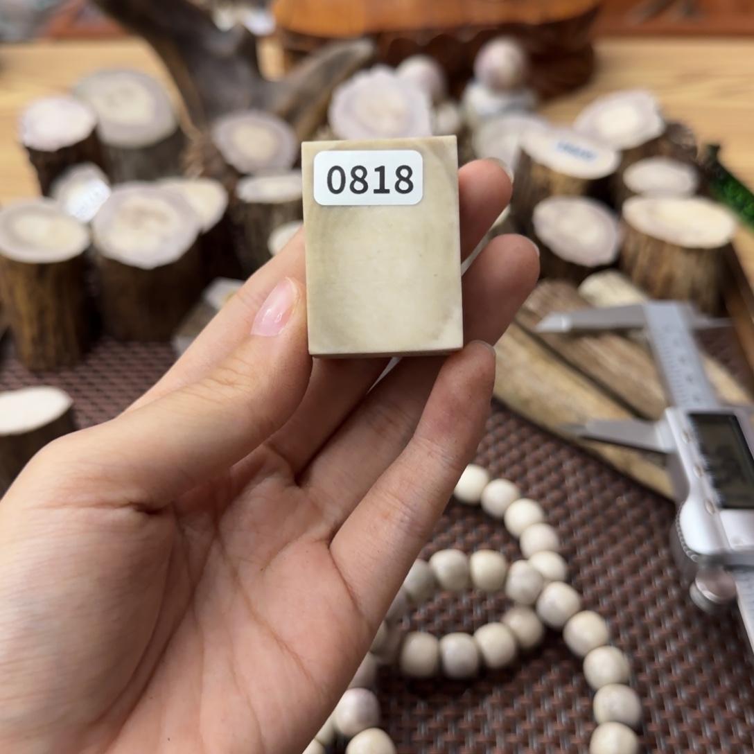 其他鹿骨0818麻将料