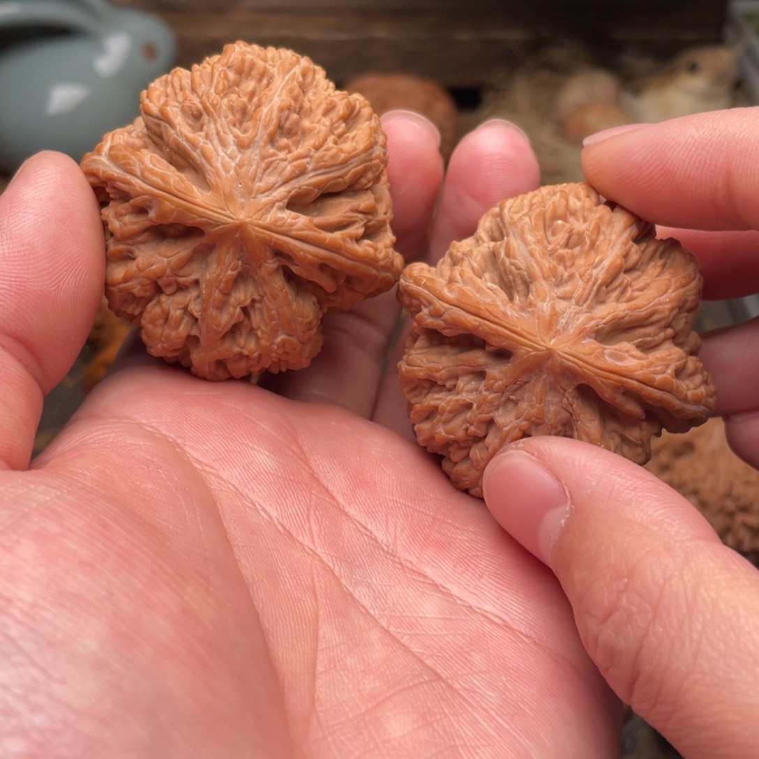 文玩核桃把件G5号46粗筋