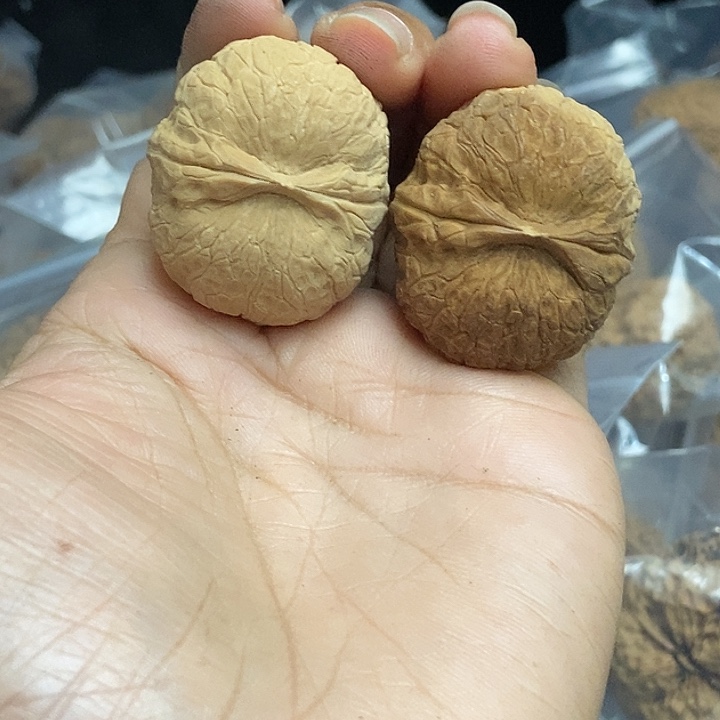 文玩核桃把件云南铁核桃基地72