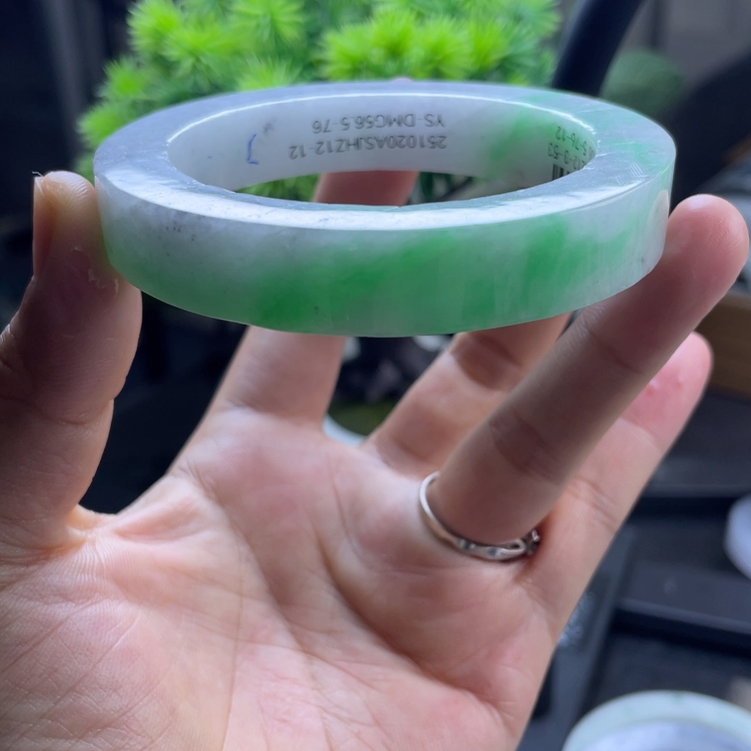 定制翡翠未镶嵌纯天然翡翠手镯定制56/60 绿乌鸡