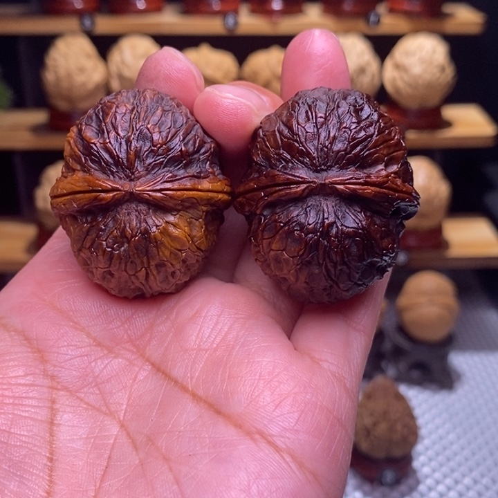 木质类云铁乌巢25号