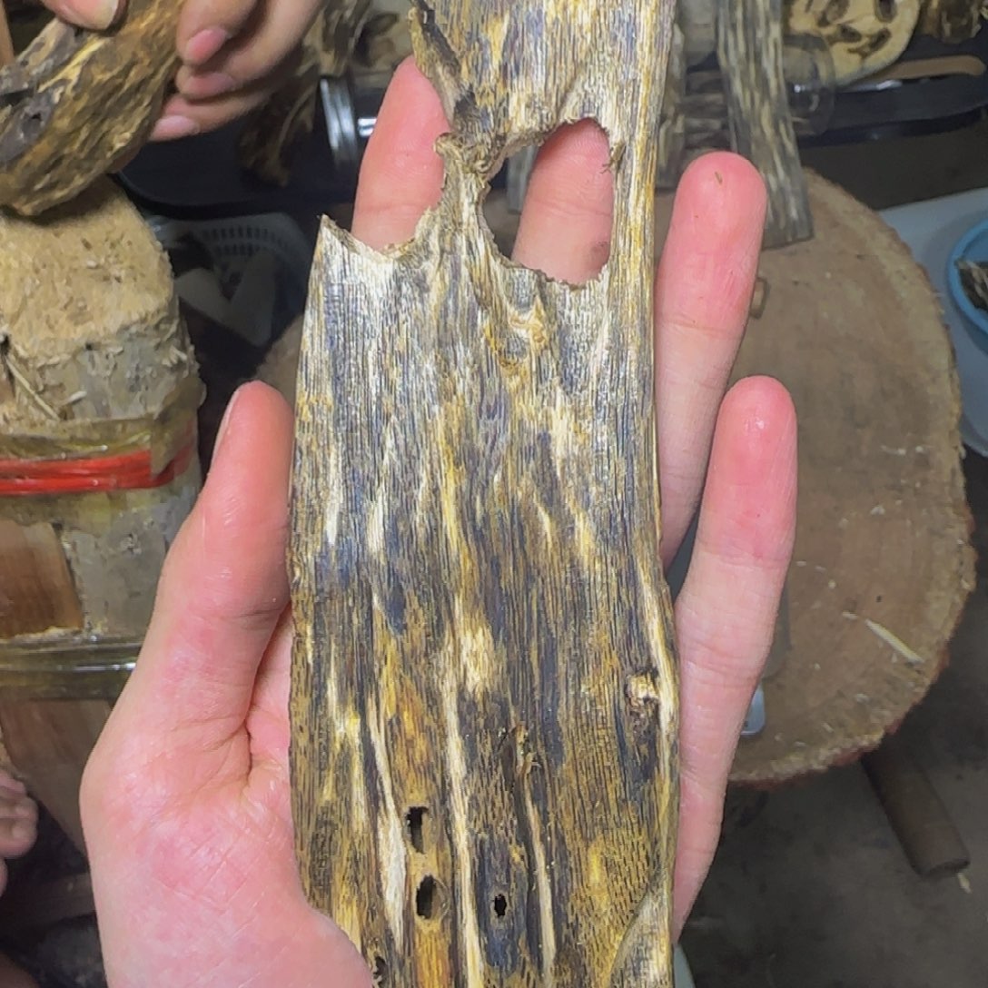 沉香香霸虫漏手把件发一份