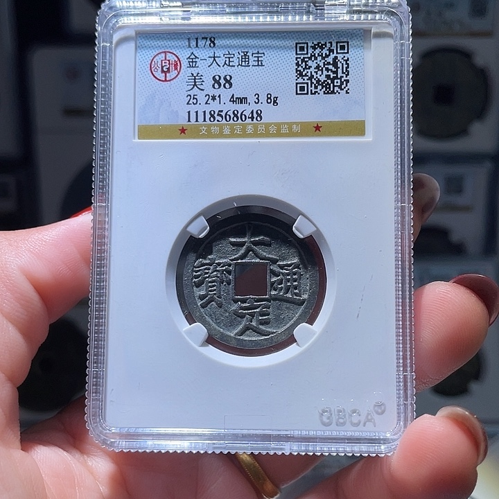 铜轩缘 白铜大定通宝编号8648