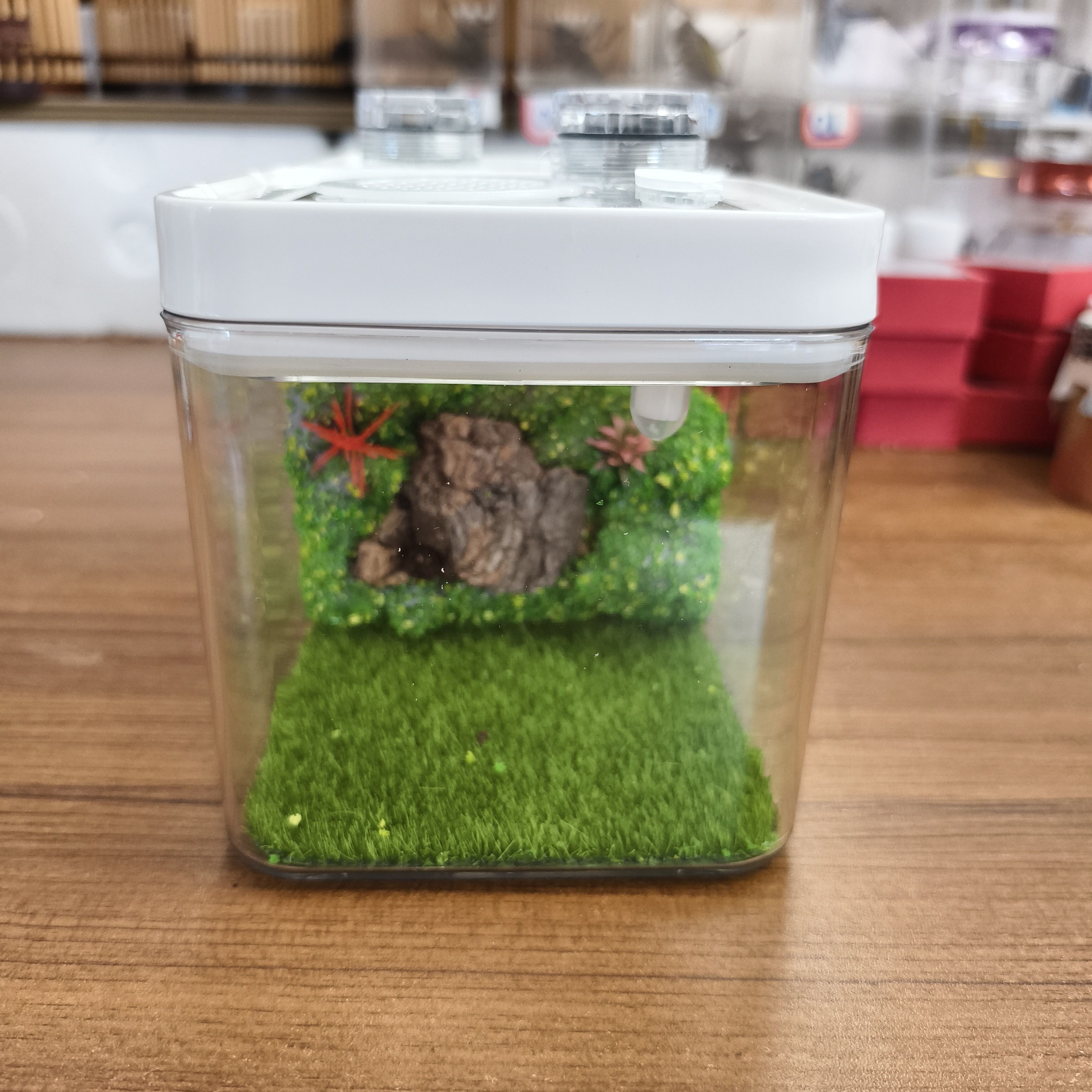 天然原木带加湿器鸣虫饲养箱 蝈蝈生态箱