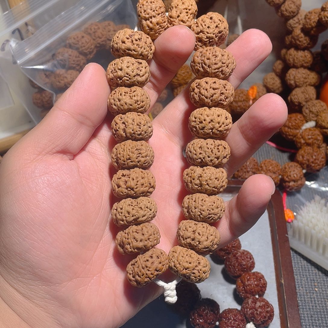 手串金刚菩提22mm夹板龙稚【同心同轴】