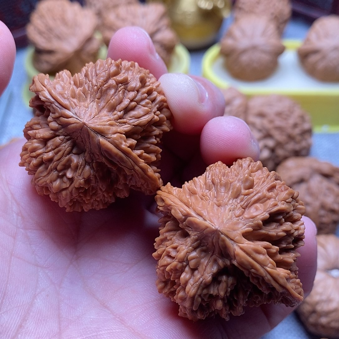 文玩核桃把件42全品毕业满天星