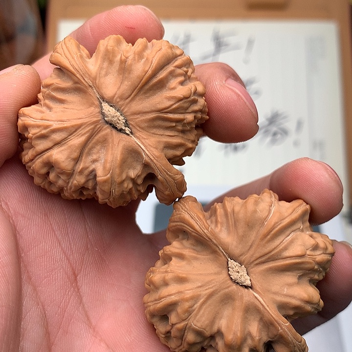 桃核把件文玩核桃44+白狮子