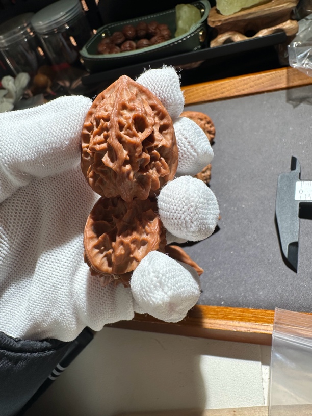 顽皮出品柳叶罗汉核桃