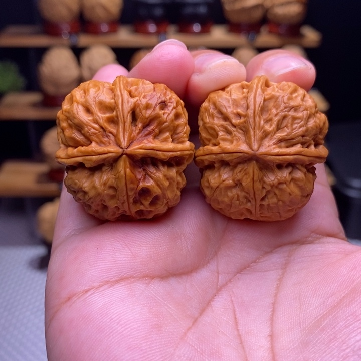 于***扶木质类云铁梅花四棱4号