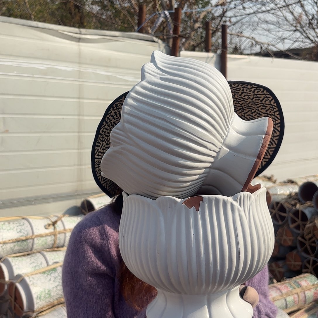 口径20高度19两个白莲花瑕疵不挑