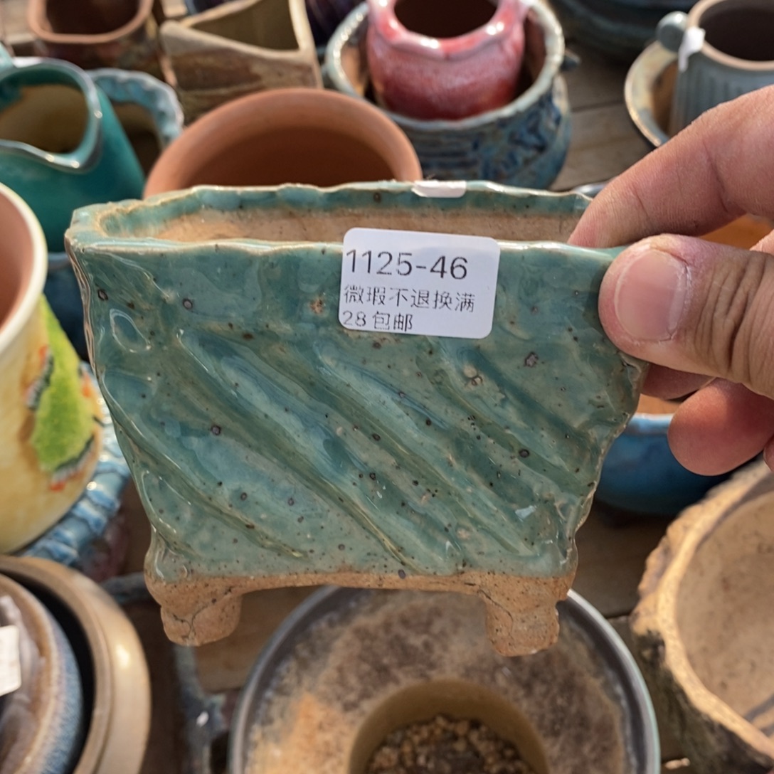 46号花盆内13.5高9.5