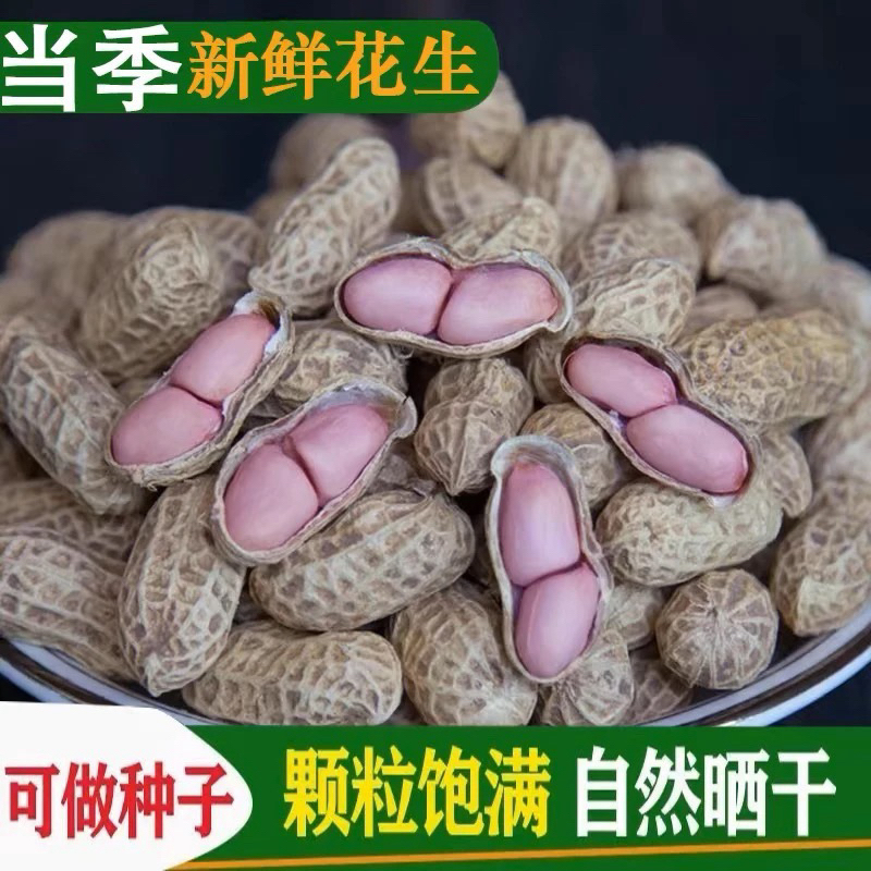 湘西农家正宗老品种小籽花生