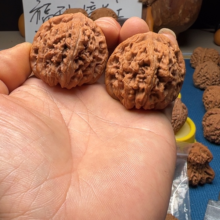 核桃四座楼全品无修42尺