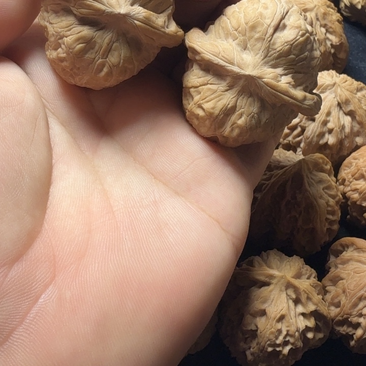 42全品无修南瓜墩