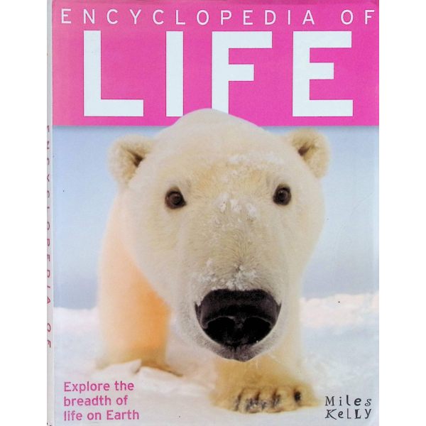 原版儿童绘本7-10岁平装Encyclopedia of L