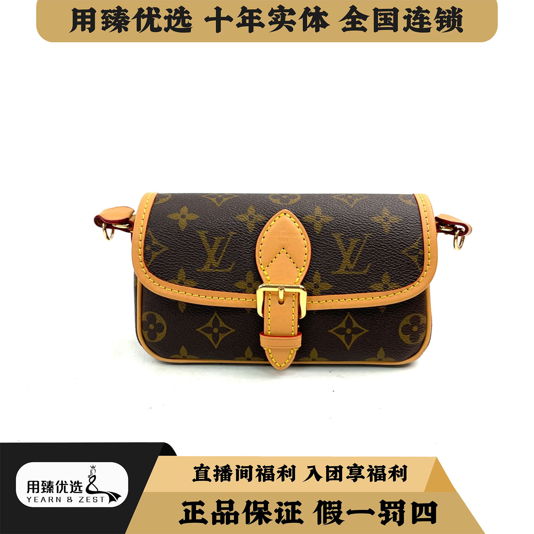 99新 LouisVuitton/路易威登 nano Diane 法棍老花/付定找货