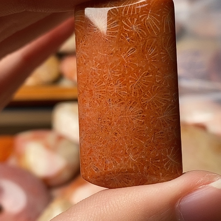 逆***薇硅化珊瑚未镶嵌颈饰