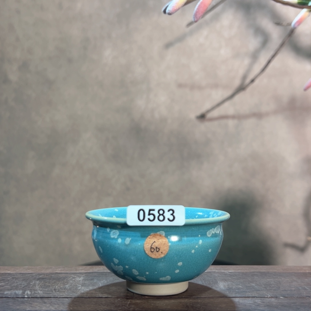 罐05830000000000000000